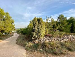 Parcela en venta en Ribesalbes, Ribesalbes photo 0