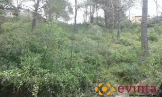 Parcela en venta en Vallirana, Pla del pèlac photo 0