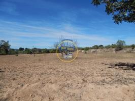 Parcela en venta en Agullent, Agullent photo 0