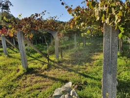 Parcela en venta en O Porriño photo 0