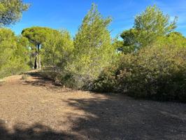 Parcela en venta en Albalat dels Tarongers, Albalat dels tarongers photo 0