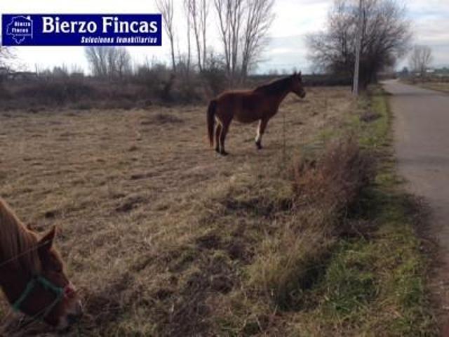 Parcela en venta en Camponaraya, Camponaraya photo 0