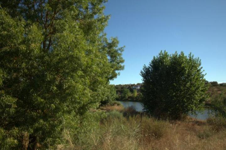 Parcela en venta en Alburquerque, CTRA. DE LA CODOSERA photo 0