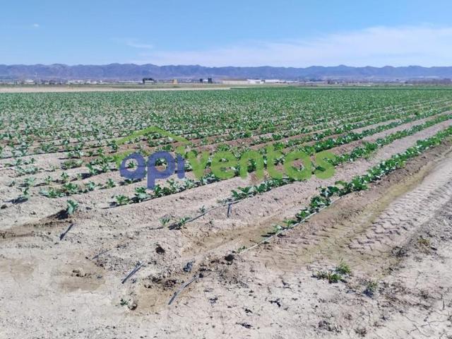 Parcela en venta en Lorca, La Hoya-Almendricos-Purias photo 0