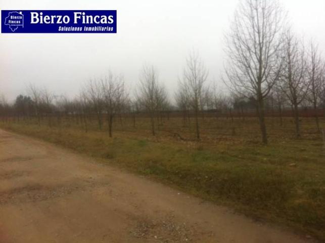 Parcela en venta en Ponferrada, Camponaraya photo 0