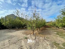 Parcela en venta en Cieza, Paraje - del Rio Segura photo 0