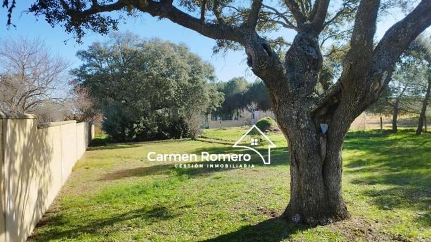 Parcela en venta en Florida de Liébana, Urb. la florida photo 0