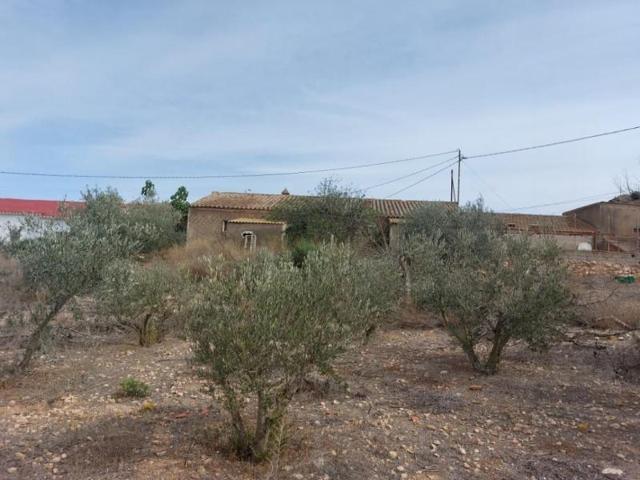 Parcela en venta en Lorca, La Escucha photo 0