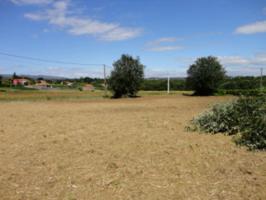 Parcela en venta en Brion, Brion photo 0