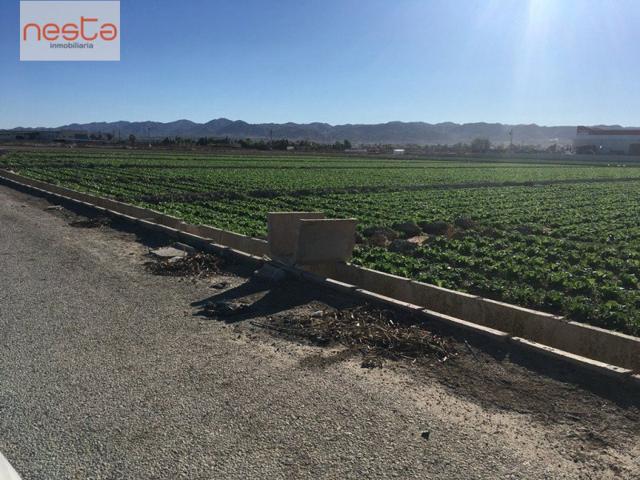 Parcela en venta en Lorca, Purias photo 0