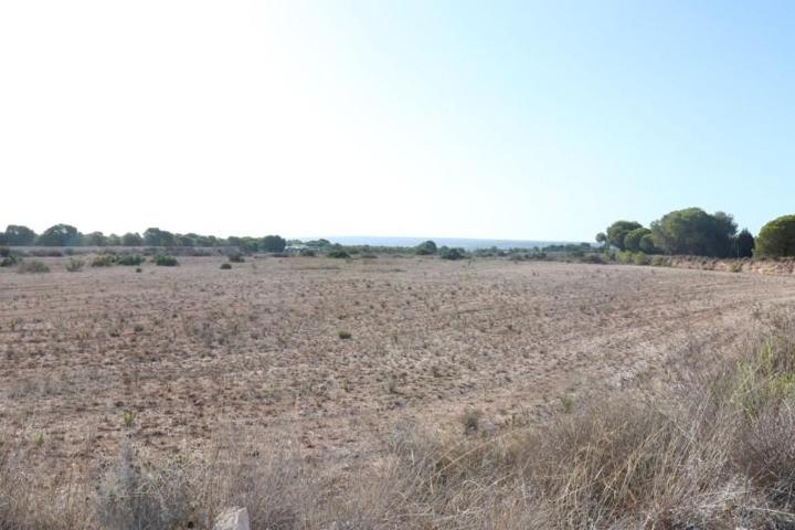 Parcela en venta en Elche, Valverde photo 0