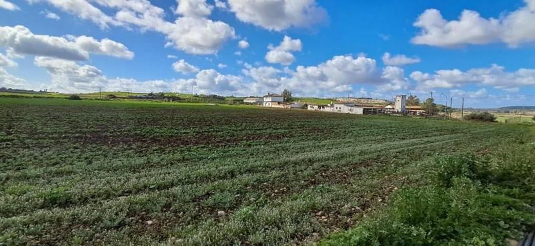 Parcela en venta en Arcos de la Frontera, Andalucia photo 0