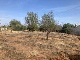 Parcela en venta en Albolote, Albolote, Zona de - Albolote photo 0