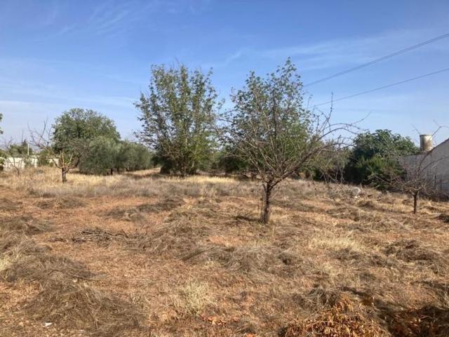 Parcela en venta en Albolote, Albolote, Zona de - Albolote photo 0