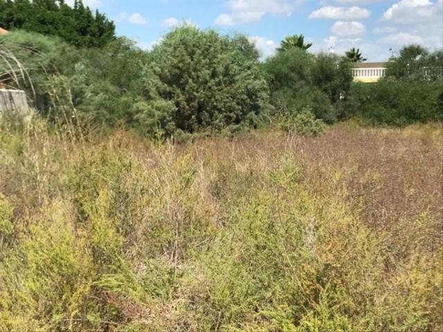 Parcela en venta en Elche, Daimes photo 0