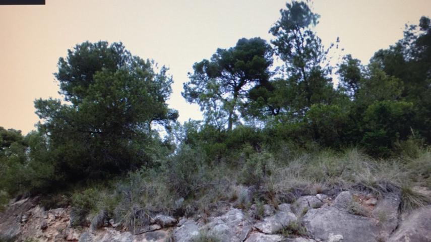 Parcela en venta en Vilamarxant, A diez minutos de Villamarchante photo 0