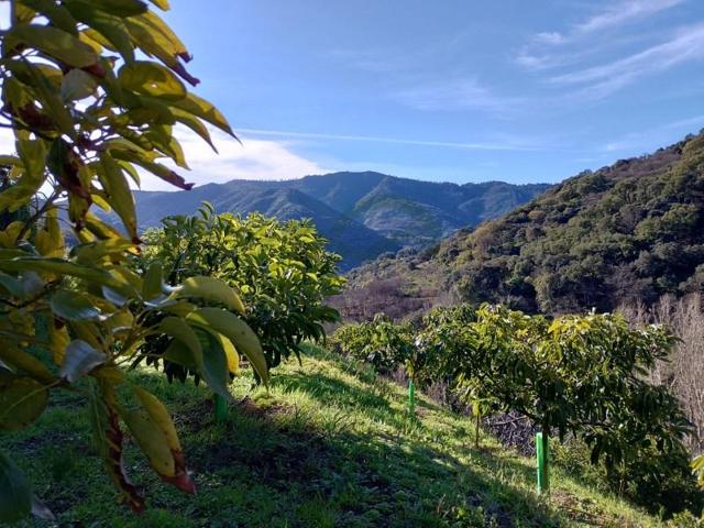 Parcela en venta en Júzcar photo 0