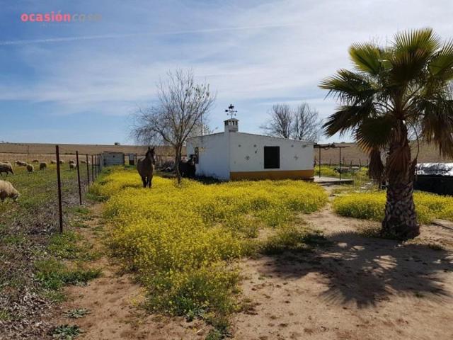 Parcela en venta en Villaralto, Villaralto photo 0