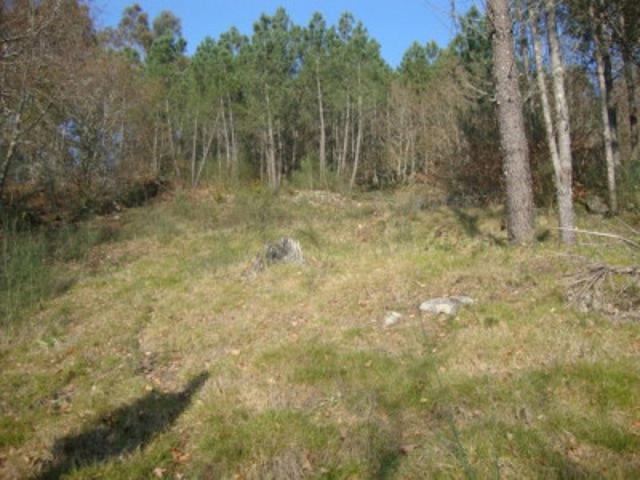 Parcela en venta en Cotobade, Tenorio photo 0