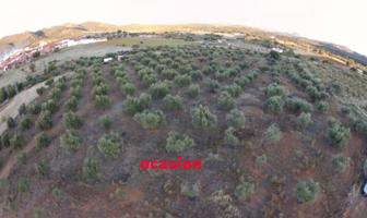 Parcela en venta en Bélmez, Doña rama photo 0