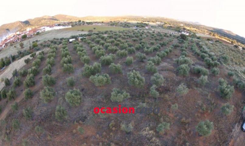 Parcela en venta en Bélmez, Doña rama photo 0