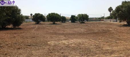 Parcela en venta en Chiclana de la Frontera, Ctra. Playa de la Barrosa photo 0