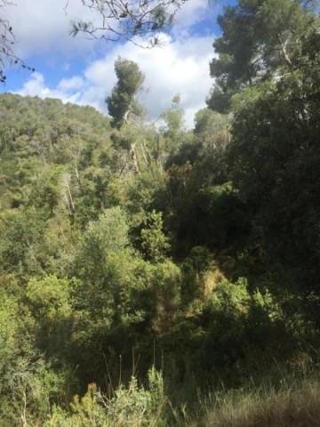 Parcela en venta en Calonge, Mas Toi photo 0