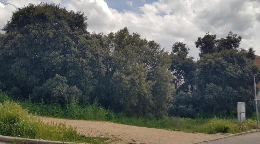 Parcela en venta en Pioz, Urb. El Bosque de Henares photo 0