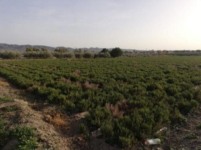 Parcela en venta en Lorca, Cazalla photo 0