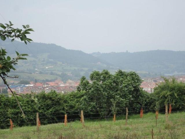 Parcela en venta en Villaviciosa, Amandi photo 0