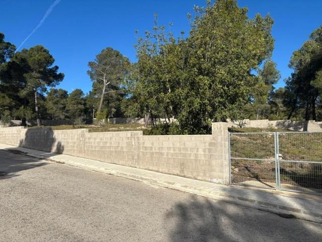 Parcela en venta en Cabra del Camp, Can riu photo 0