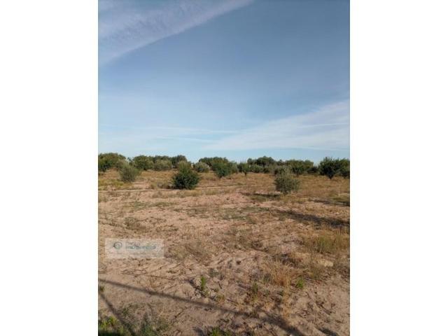 Parcela en venta en Don Benito photo 0