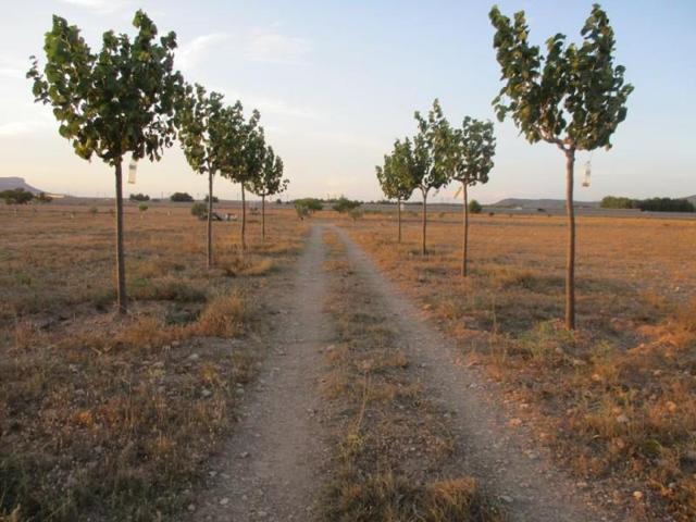 Parcela en venta en Almansa, Escorredores photo 0