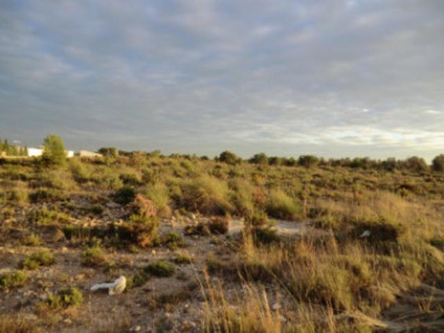 Parcela en venta en Bétera, Urbanizacion LLoma del Mas photo 0
