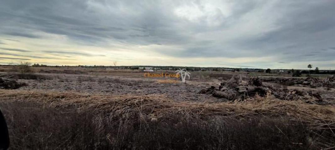 Parcela en venta en Elche, XLas bayas photo 0
