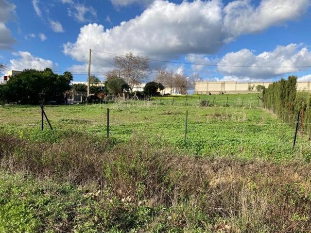 Parcela en venta en Los Barrios, Perenholas photo 0