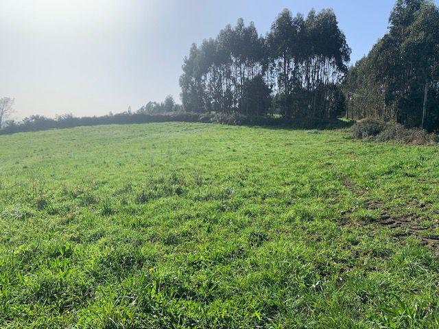 Parcela en venta en Gijón, Gijon photo 0