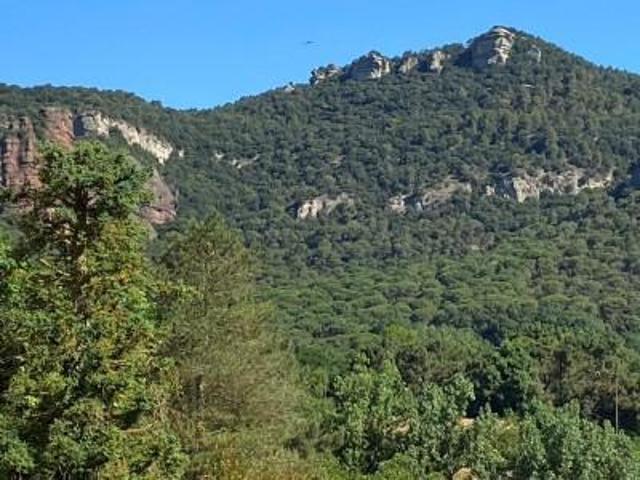 Parcela en venta en Folgueroles, Centre photo 0