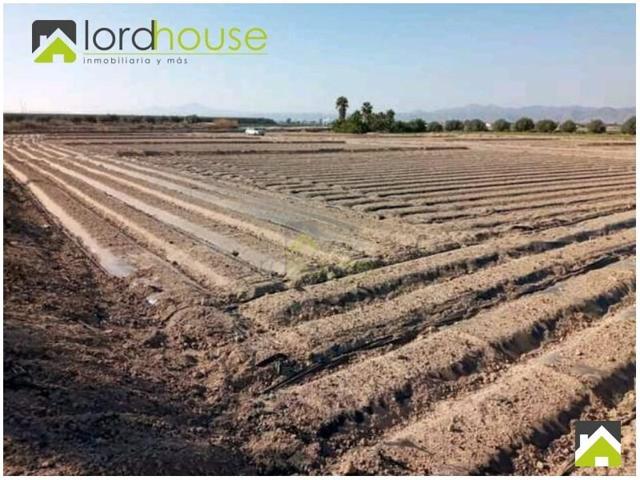 Parcela en venta en Lorca, Cazalla photo 0
