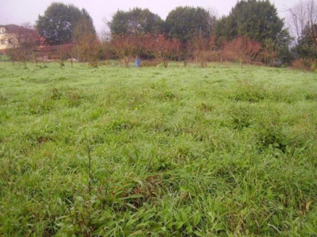 Parcela en venta en Candamo, Candamo photo 0