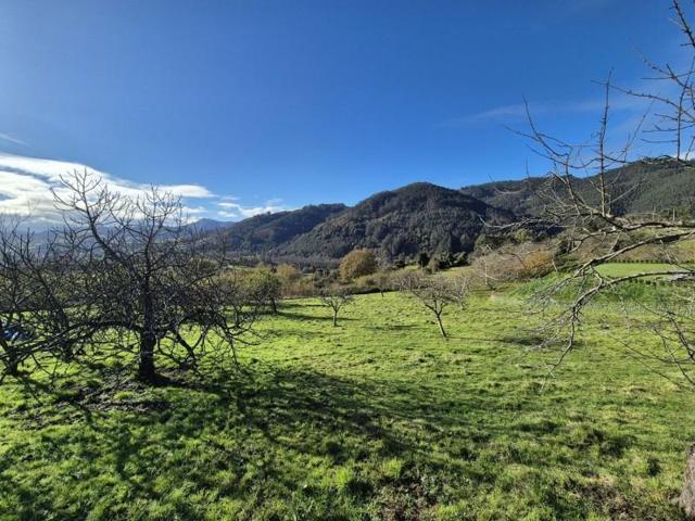 Parcela en venta en Candamo, Candamo photo 0