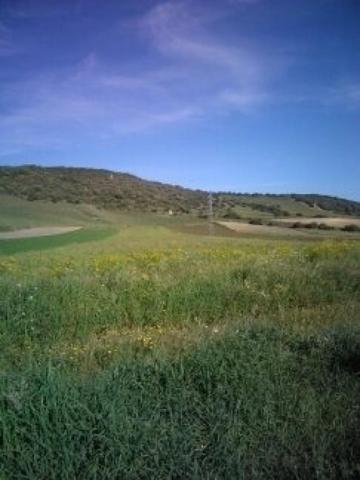 Parcela en venta en Vejer de la Frontera, Cañada ancha photo 0