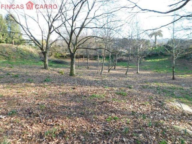 Parcela en venta en Cotobade, Cotobade photo 0