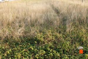 Parcela en venta en Ulldecona, Tarragona photo 0