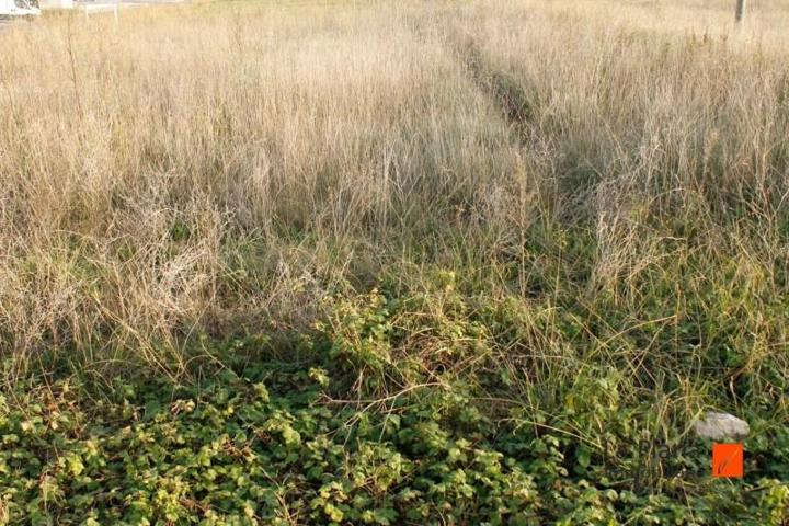 Parcela en venta en Ulldecona, Tarragona photo 0