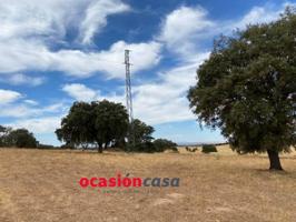 Parcela en venta en Fuente Obejuna, Argallón photo 0