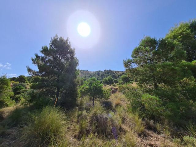 Parcela en venta en Hondon de los Frailes, CAMINO LOS SERRANOS photo 0