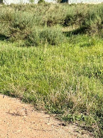 Parcela en venta en Elche, Partida altabix photo 0