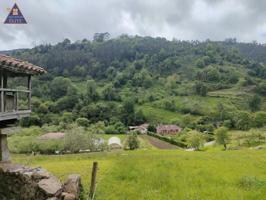 Parcela en venta en Villaviciosa, Peon photo 0