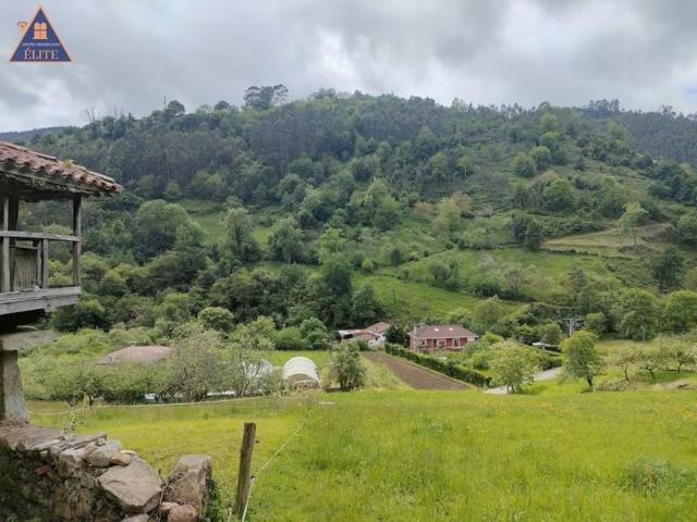 Parcela en venta en Villaviciosa, Peon photo 0